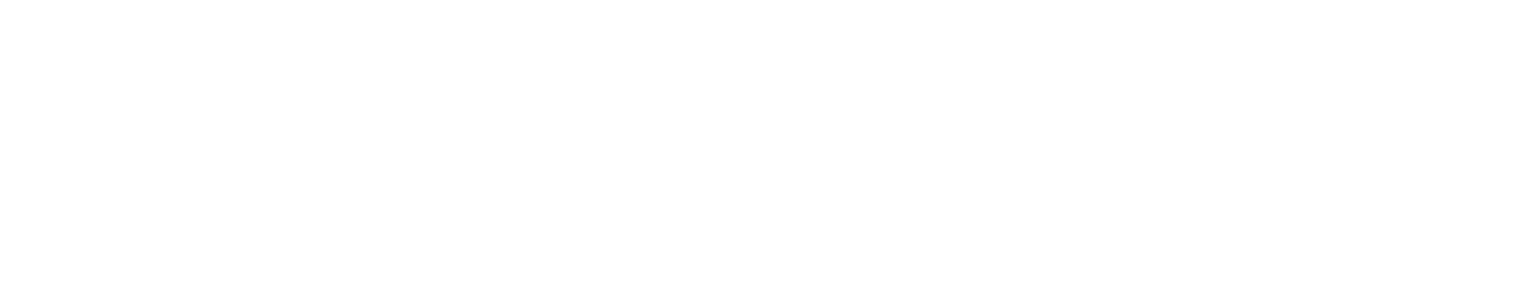 VB Logo RGB Negative Digital 1